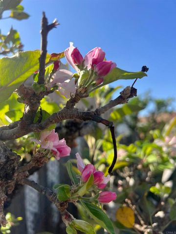 200 N El Camino Real 150, Oceanside, CA 92058