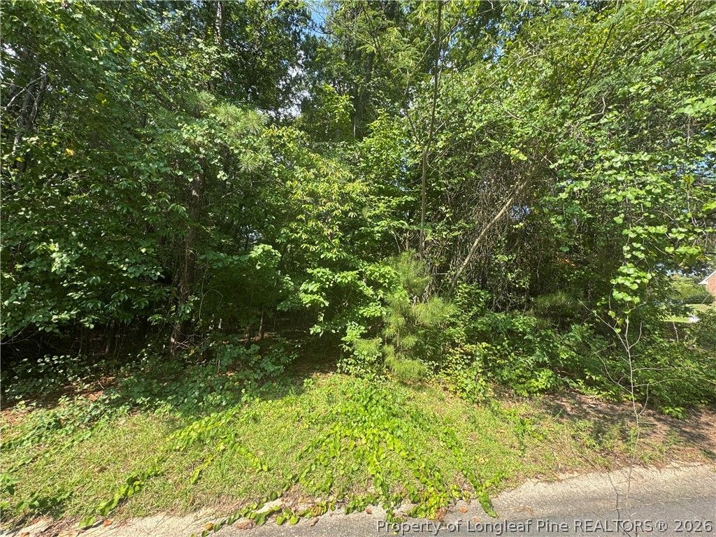 0 Stonington Drive, Fayetteville, NC 28311 — exterior