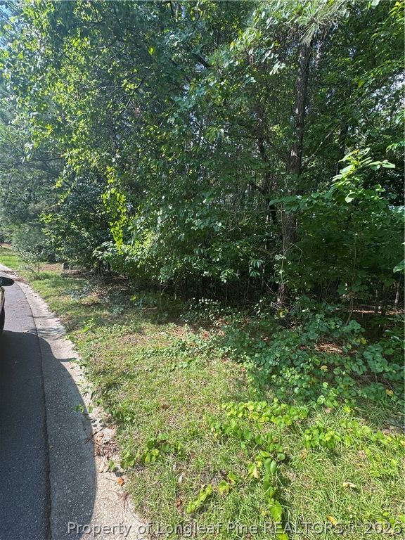 0 Stonington Drive, Fayetteville, NC 28311 — photo 2