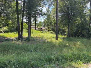 0 Indian Trails, Willis, TX 77378