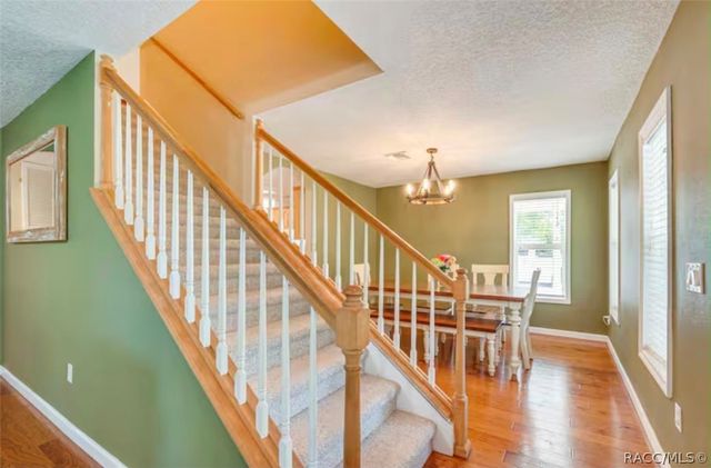11895 N Bearl Terrace, Dunnellon, FL 34433