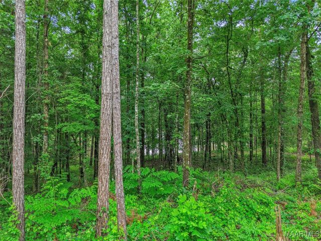 5 Peachwood Drive 1, Tallassee, AL 36078