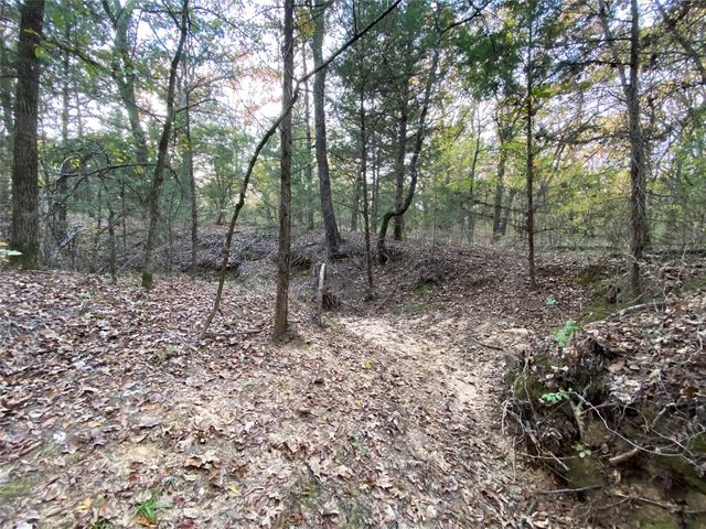 0 Private Road 5204, Athens, TX 75751