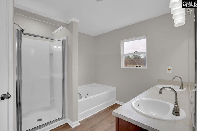 100 Baltic Court, Chapin, SC 29036