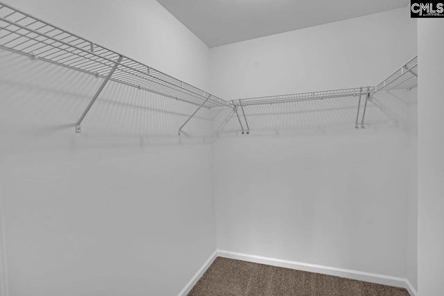 100 Baltic Court, Chapin, SC 29036