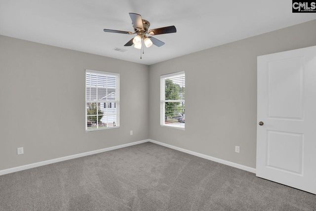 100 Baltic Court, Chapin, SC 29036