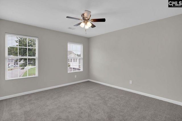 100 Baltic Court, Chapin, SC 29036