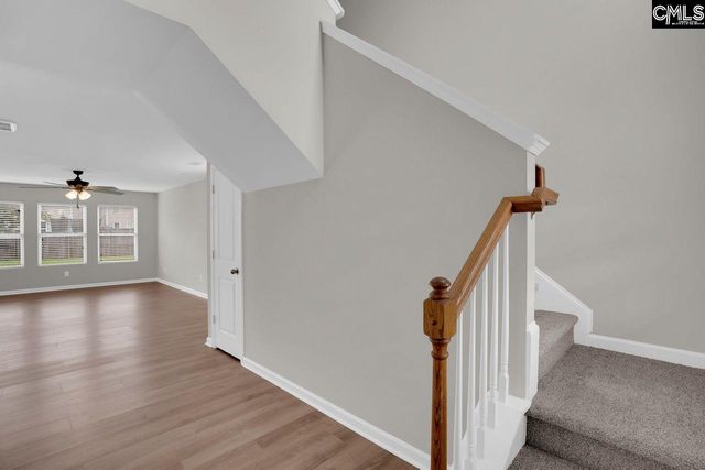 100 Baltic Court, Chapin, SC 29036