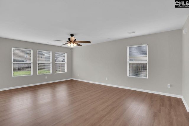 100 Baltic Court, Chapin, SC 29036