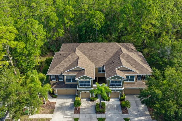 12646 SILVERDALE STREET, Tampa, FL 33626