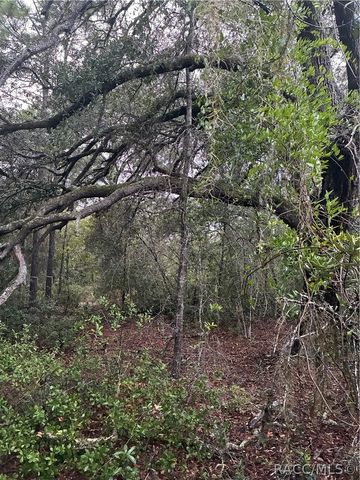 8862 N Spartan Drive, Citrus Springs, FL 34433