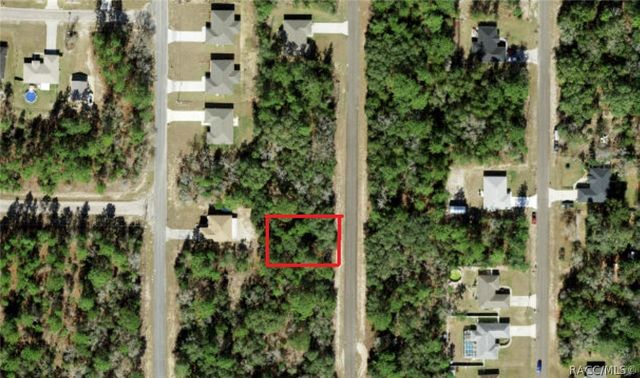 8862 N Spartan Drive, Citrus Springs, FL 34433