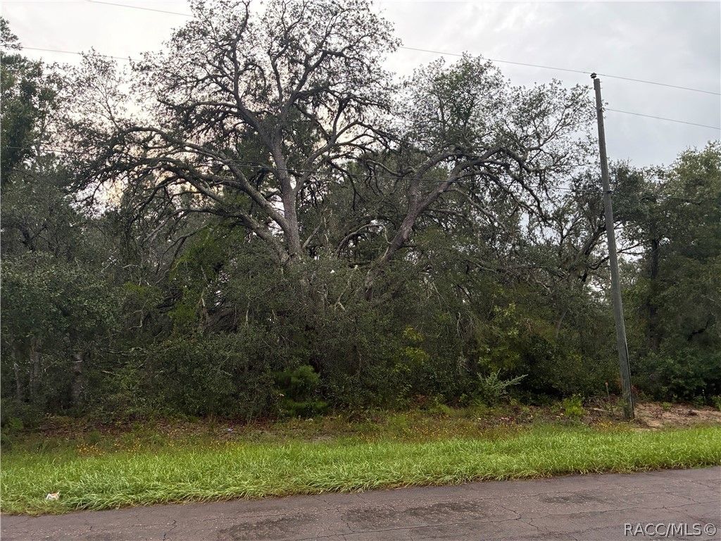 8862 N Spartan Drive, Citrus Springs, FL 34433