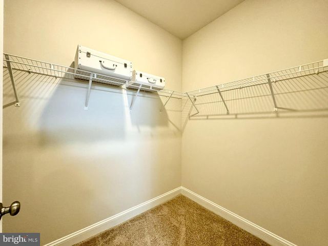 34014 SKYFLOWER LOOP, Lewes, DE 19958