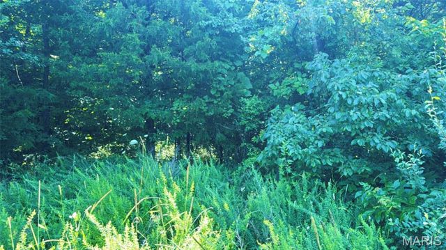 2436 Madison 504, Fredericktown, MO 63645