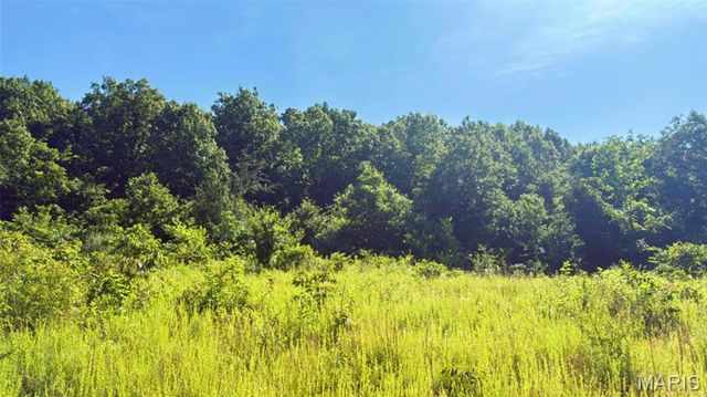 2436 Madison 504, Fredericktown, MO 63645