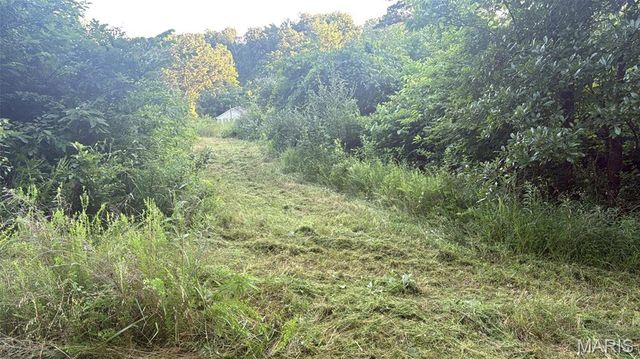 2436 Madison 504, Fredericktown, MO 63645