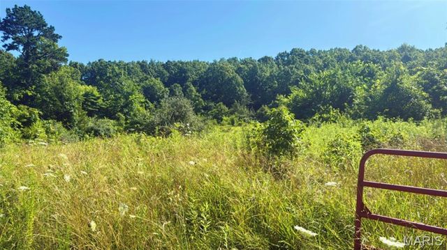 2436 Madison 504, Fredericktown, MO 63645