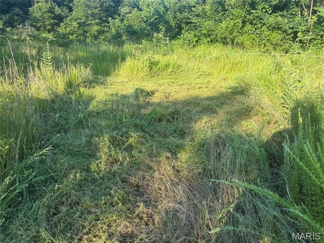 2436 Madison 504, Fredericktown, MO 63645