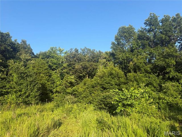 2436 Madison 504, Fredericktown, MO 63645