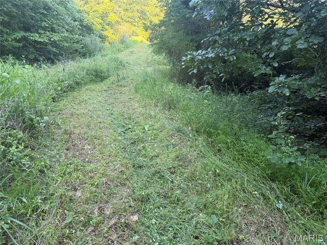 2436 Madison 504, Fredericktown, MO 63645