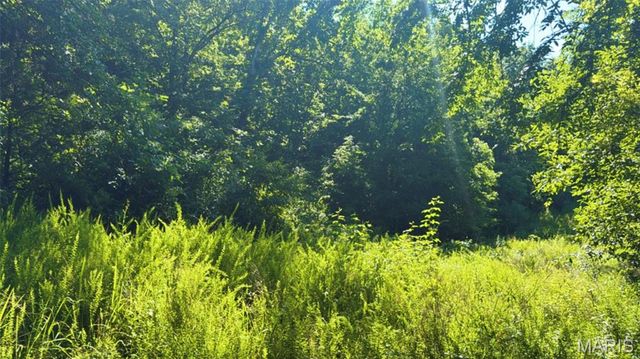 2436 Madison 504, Fredericktown, MO 63645