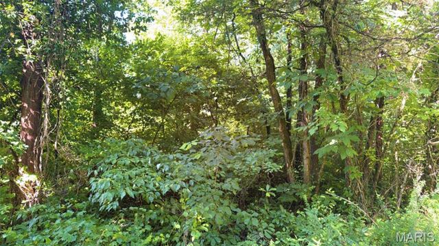 2436 Madison 504, Fredericktown, MO 63645