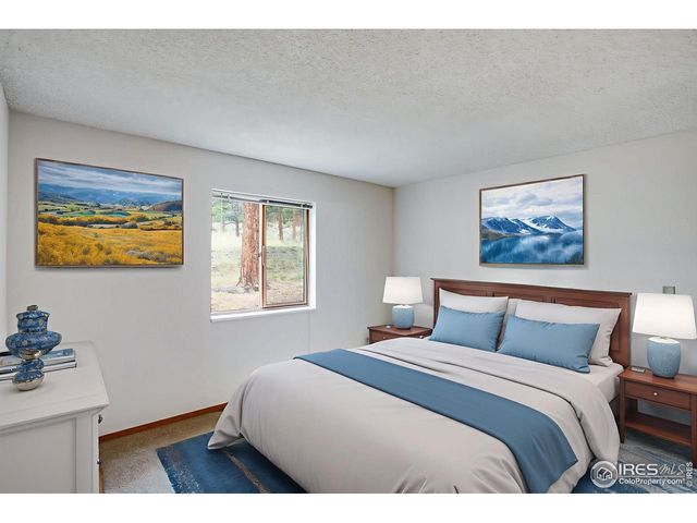 1155 S Saint Vrain Ave 3-3, Estes Park, CO 80517