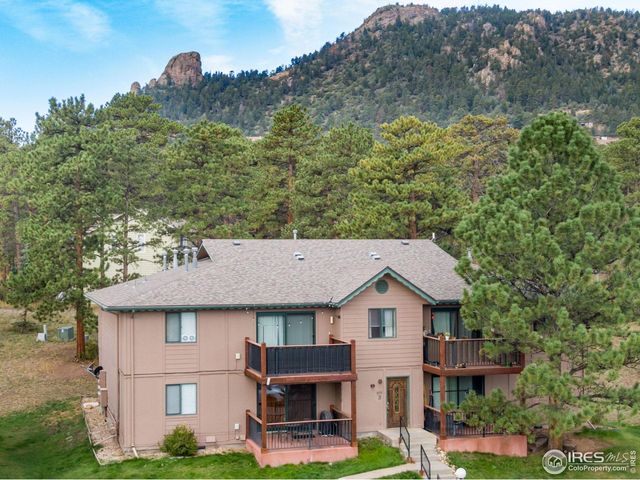 1155 S Saint Vrain Ave 3-3, Estes Park, CO 80517
