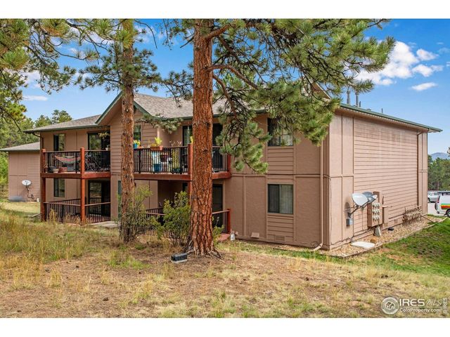 1155 S Saint Vrain Ave 3-3, Estes Park, CO 80517