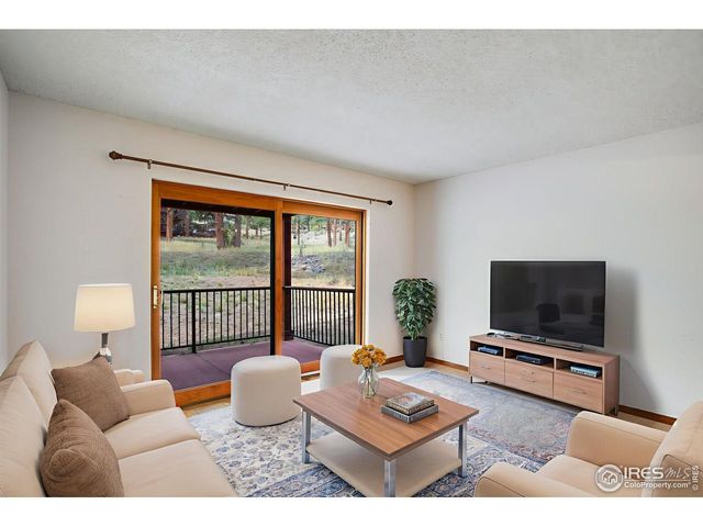 1155 S Saint Vrain Ave 3-3, Estes Park, CO 80517