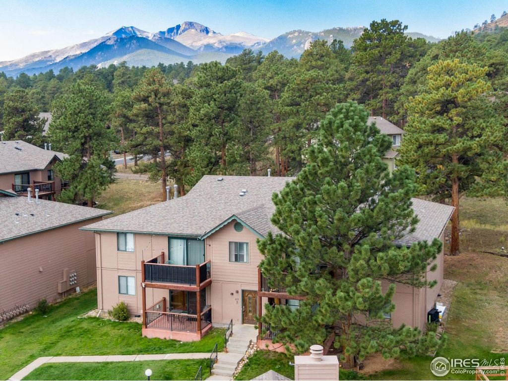 1155 S Saint Vrain Ave 3-3, Estes Park, CO 80517