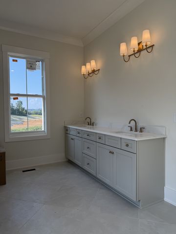 2287 Brakeman Ln, Thompsons Station, TN 37179