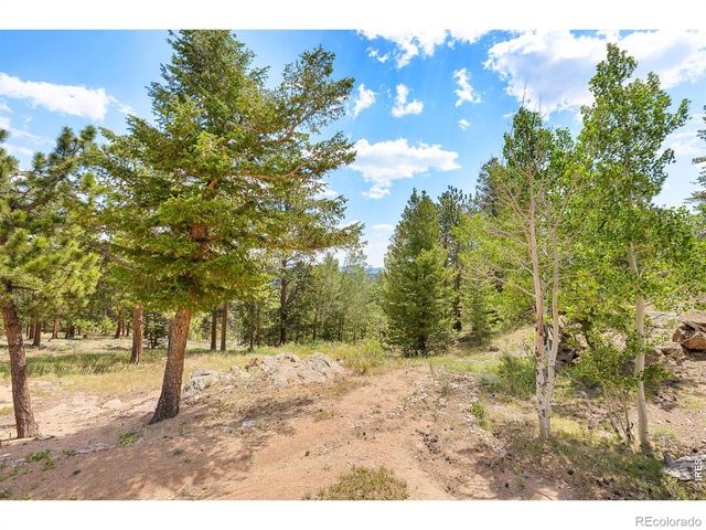 107 Miami Court, Red Feather Lakes, CO 80545