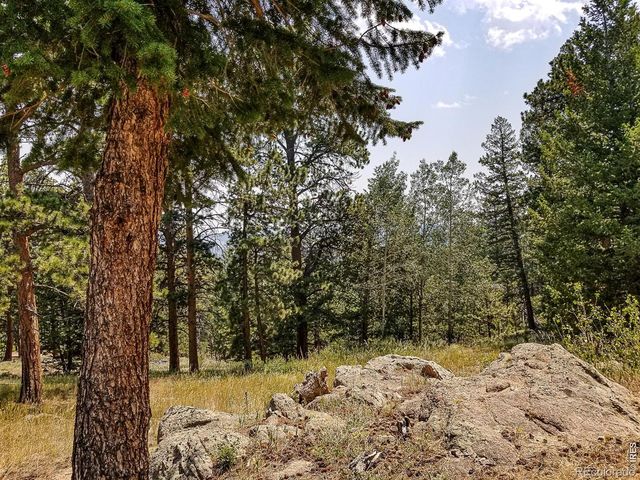 107 Miami Court, Red Feather Lakes, CO 80545