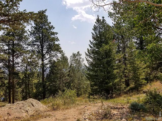 107 Miami Court, Red Feather Lakes, CO 80545