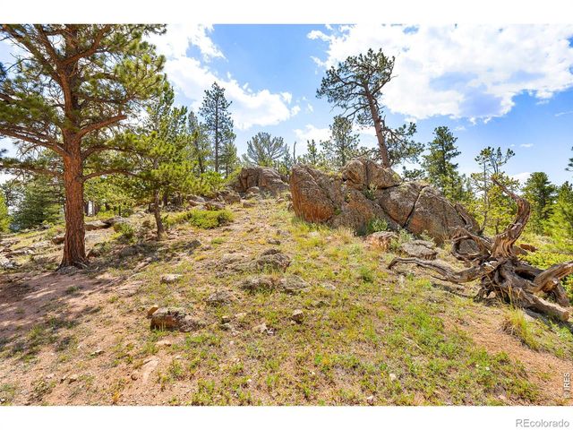 107 Miami Court, Red Feather Lakes, CO 80545