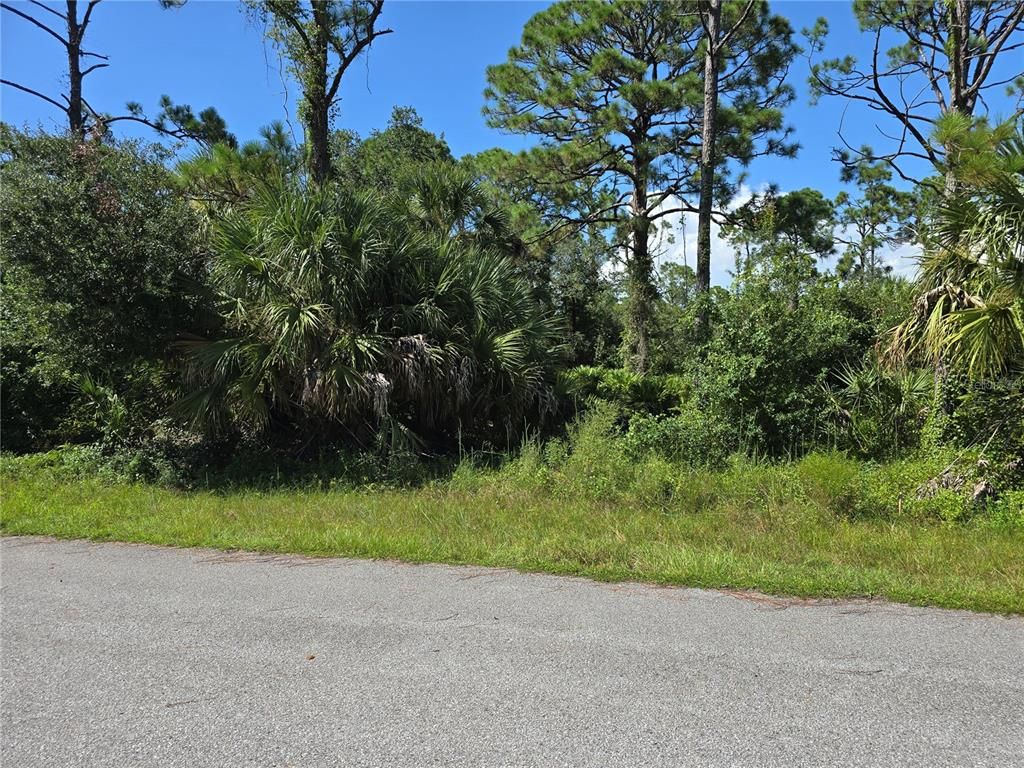 14506 CAROUSEL LANE, Port Charlotte, FL 33953