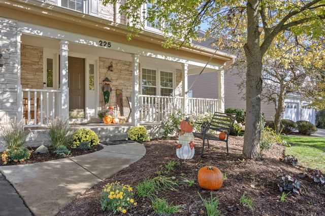225 Farmhill Drive, Algonquin, IL 60102