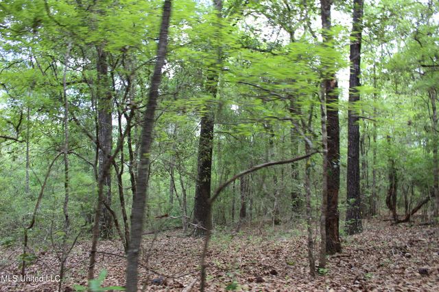 87.6 Acres Rousanville Road, Leakesville, MS 39451