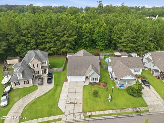 1004 Bally Bunion Lane, Burgaw, NC 28425