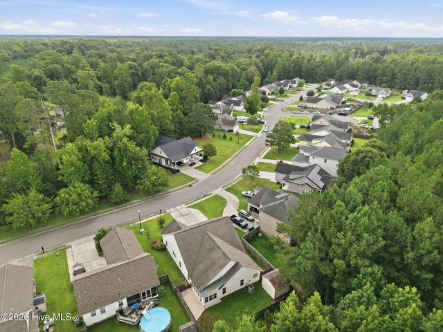 1004 Bally Bunion Lane, Burgaw, NC 28425