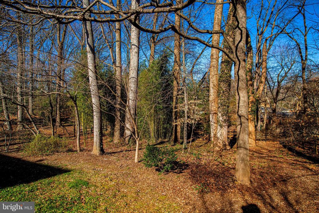 Image 11 of property listing at 644 SYMPHONY WOODS DR, Silver Spring, MD 20901