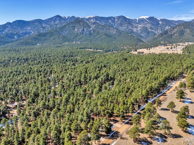 8326 Cuerna Verde Rd, Rye, CO 81069