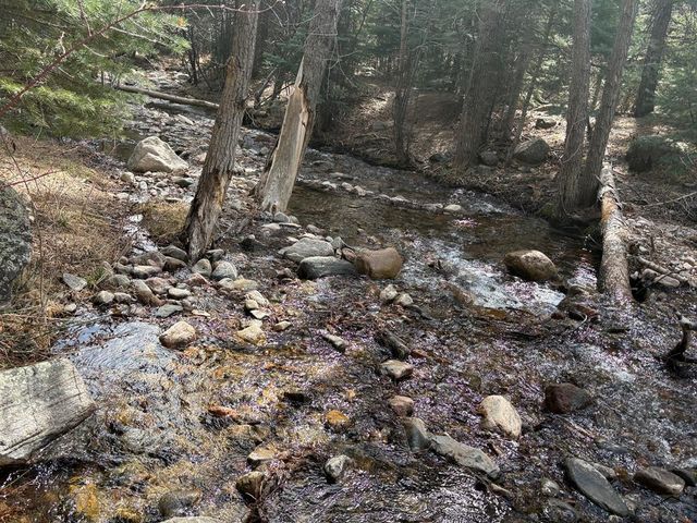 8326 Cuerna Verde Rd, Rye, CO 81069