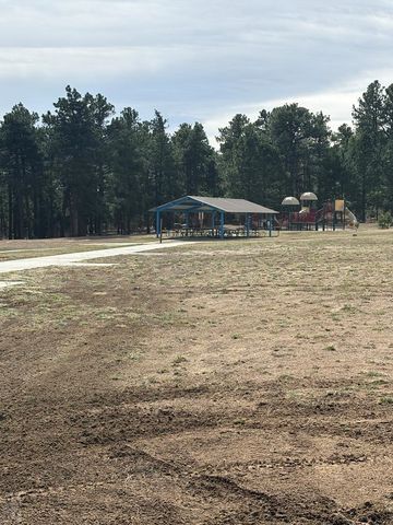 8326 Cuerna Verde Rd, Rye, CO 81069