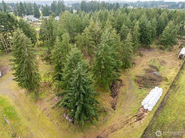 18647 Joselyn Street SW, Rochester, WA 98579