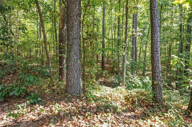 121 Greatwood Drive, White, GA 30184