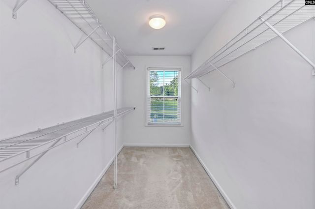 209 Garden Brooke Drive, Irmo, SC 29063
