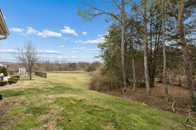 9767 Jupiter Forest Dr, Brentwood, TN 37027
